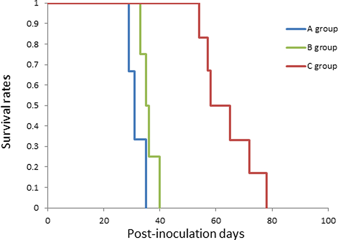 Kaplan&#x2013;Meier survival curve of the treated rats.