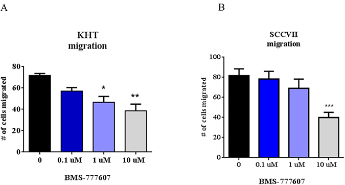 Transwell migration assays of autocrine-activated tumor cell lines.