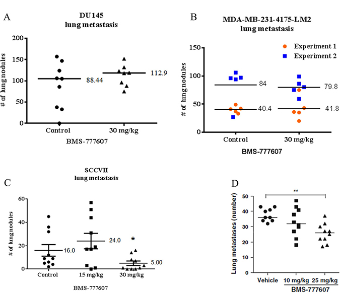 Lung metastasis assay.