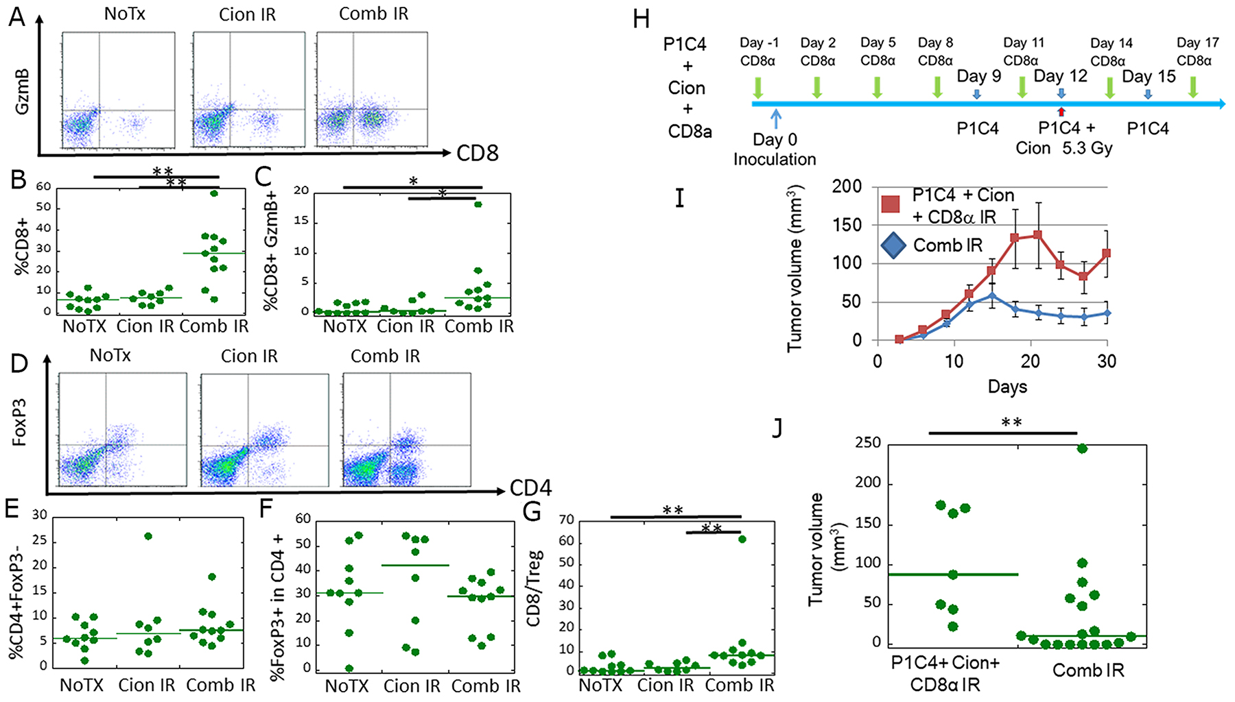 Analysis of CD8&#x002B;/GzmB&#x002B; cells and CD4/Foxp3&#x002B; cells in tumor-infiltrating lymphocytes (TILs), and the antitumor immune response at a local site.