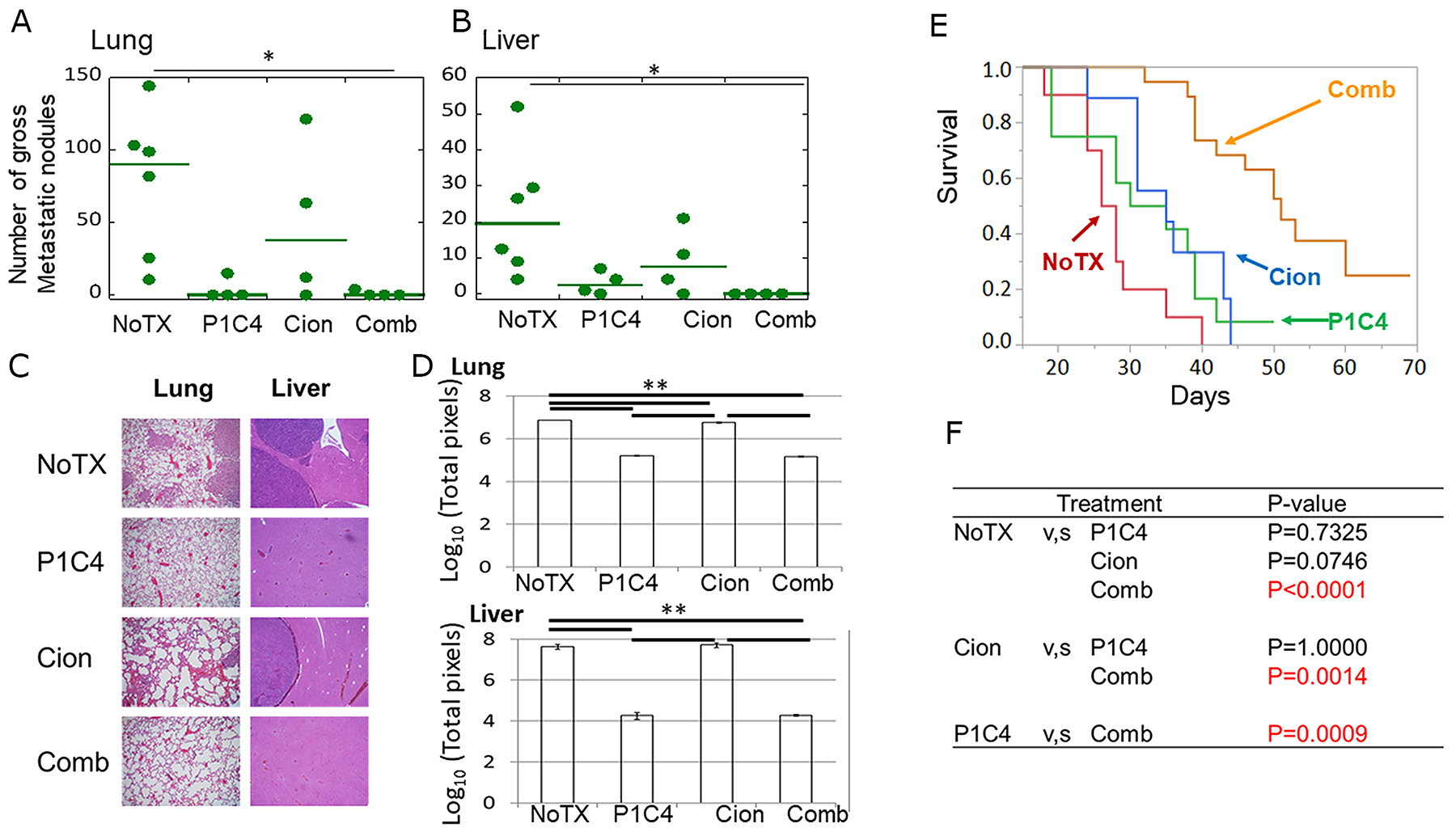 Evaluation of tumor metastasis and overall survival.