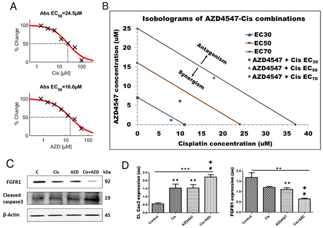 Synergistic effect of AZD4547 and cisplatin on LGACC cell viability.