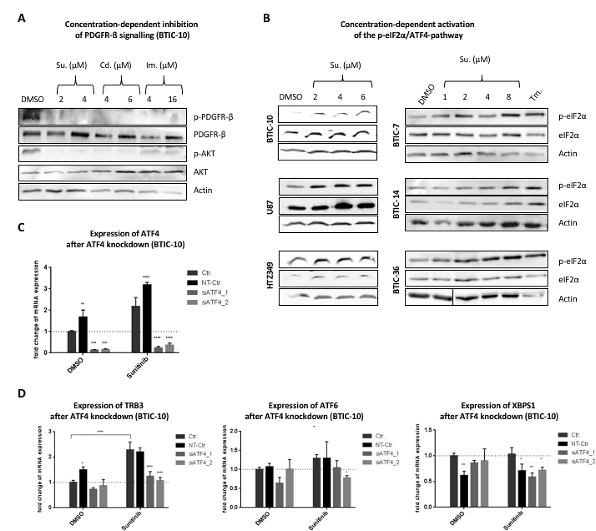 Downstream-signaling after treatment with RTK-Is.