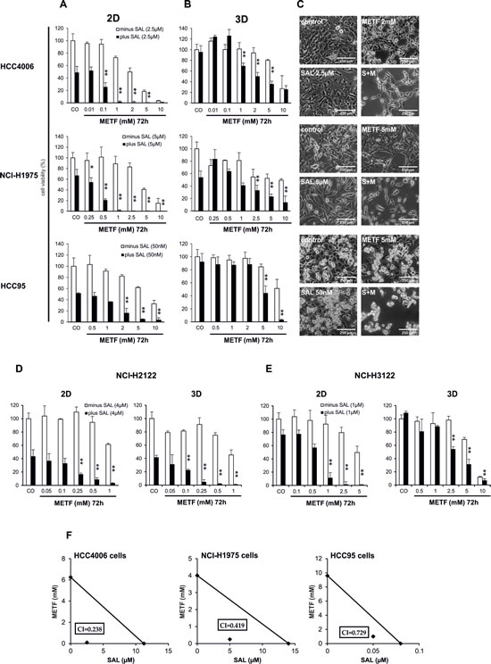 SAL increases METF-mediated effects on cell viability of treated NSCLC.