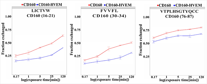 Regions of CD160 protein with important changes in deuteration level upon interaction with HVEM.