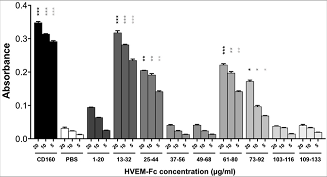 ELISA test results for the binding of CD160 protein and its fragments to HVEM-Fc protein.