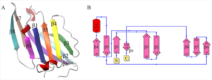 Figure 4: