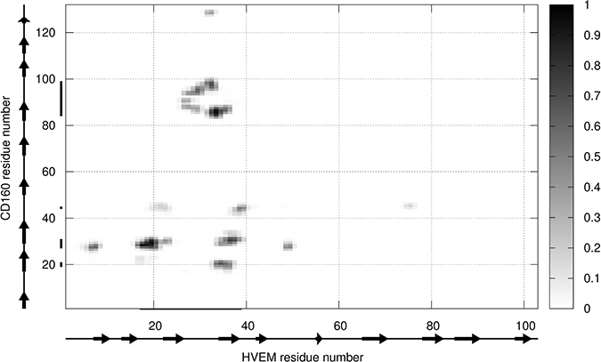 The contact map scoring obtained for CD160 and HVEM interface from coarse-grained simulations for all structures from the most probable cluster.