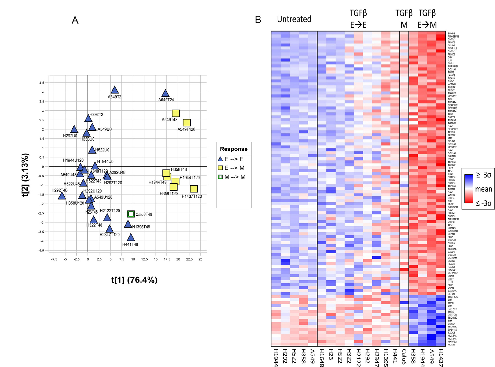 Separation of cell lines based on EMT capacity using the TGF&#x03B2;-EMT signature.