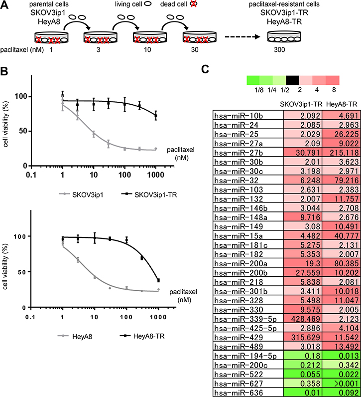 miR-194-5p is downregulated in paclitaxel-resistant ovarian cancer cell lines.
