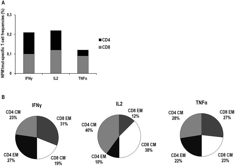 Characterization of cytokine production and memory T-cell profiles of NPM1-mutated specific T cells by cytokine secretion assay (CSA).