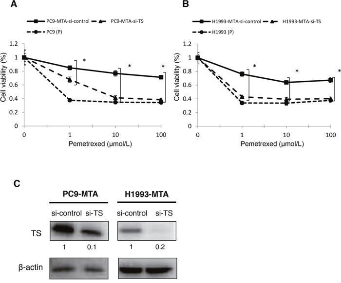 Effects of TS knockdown in pemetrexed-resistant lung cancer cells.