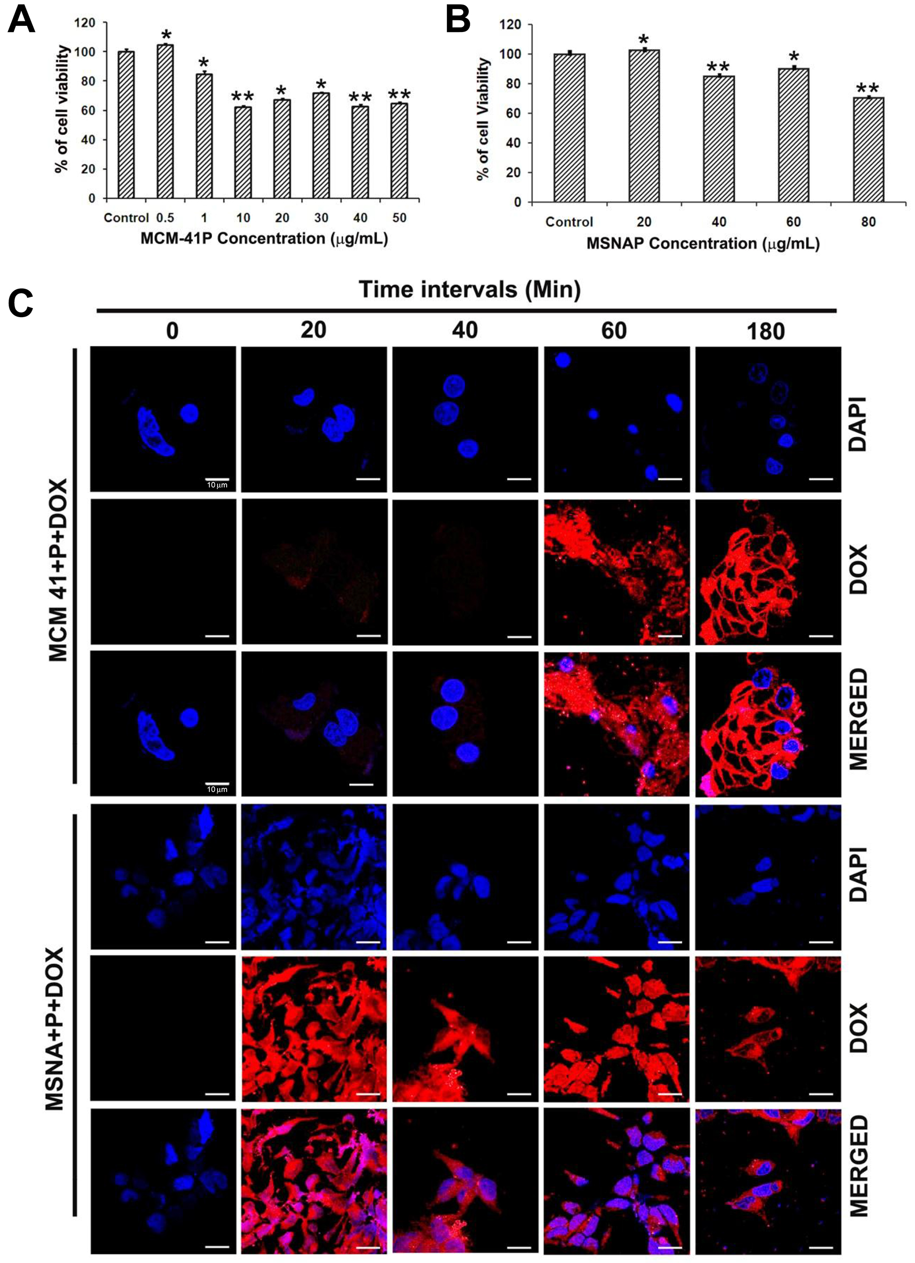 Toxicity and accumulation time of MCM-41P and MSNAP in MCF-7 cells.