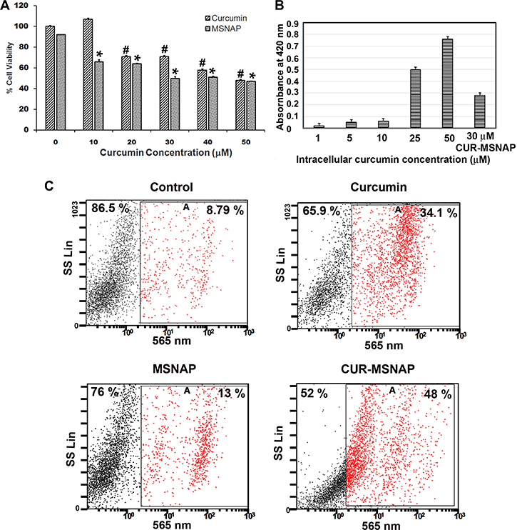 Effects of curcumin released from MSNAP.