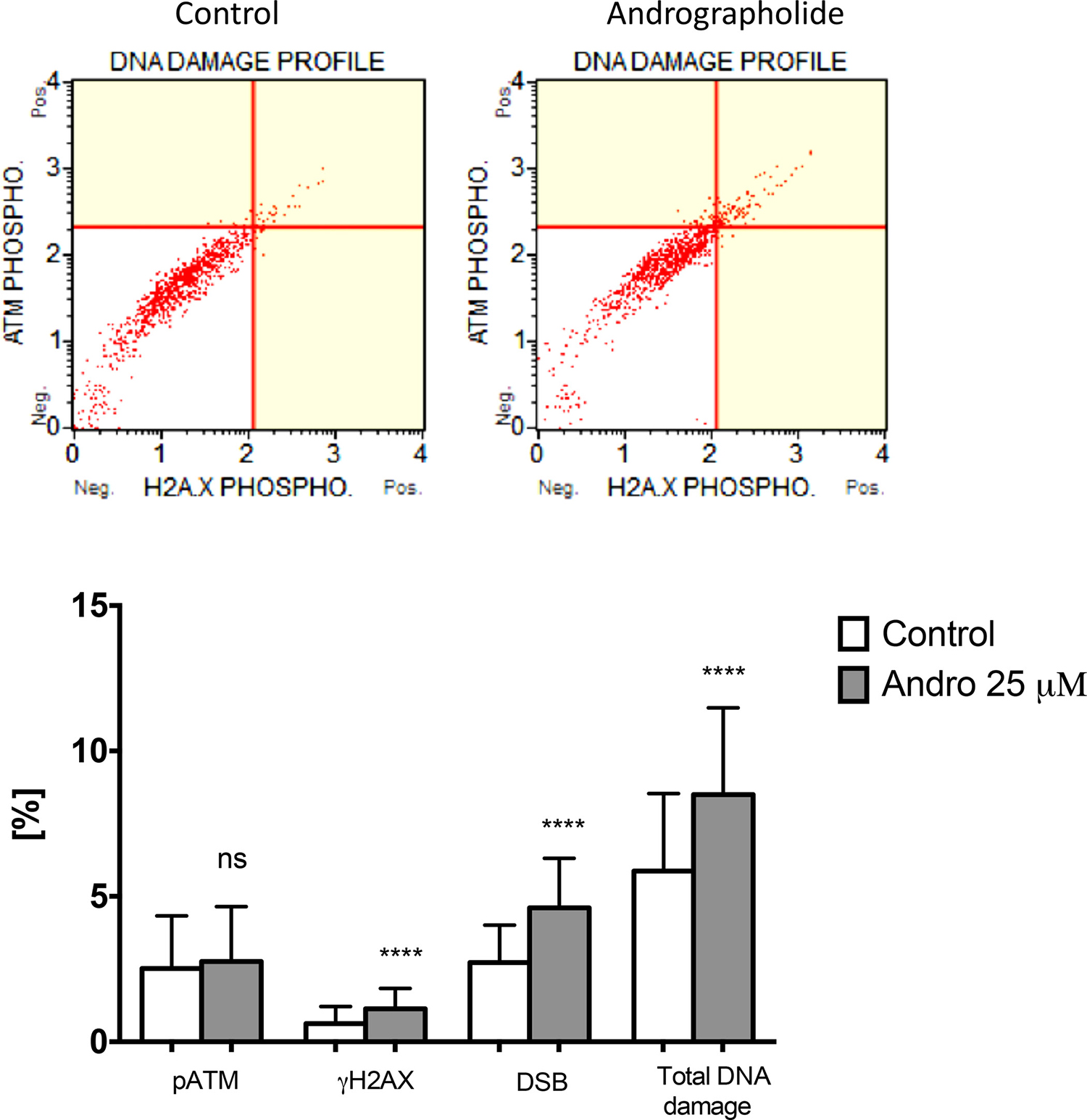 Andrographolide increases DNA damage in PC3 cells.