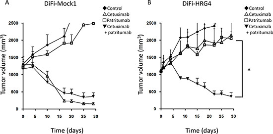 Effects of cetuximab, patritumab, and the combination of both drugs on the growth of DiFi-HRG tumor xenografts in vivo.
