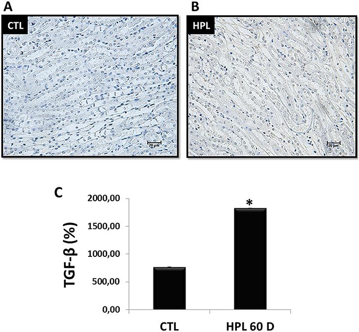 Evaluation of endogenous synthesis of TGF-&#x03B2;1 in vivo.