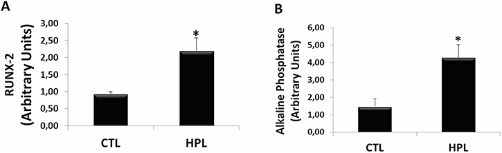 Evaluation of osteogenic gene expression in vivo.