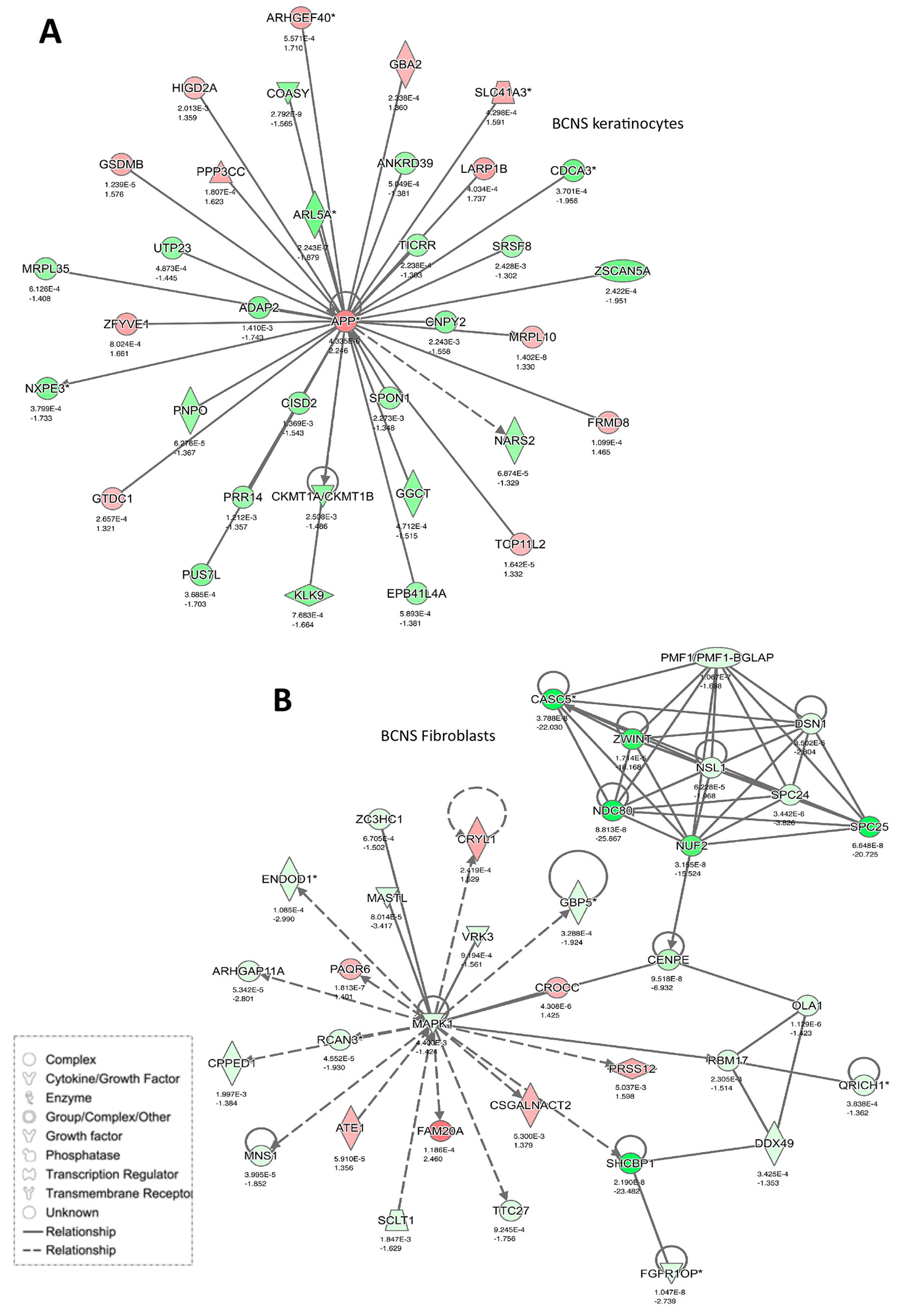 Networks enriched in BCNS cells after rapamycin treatment.