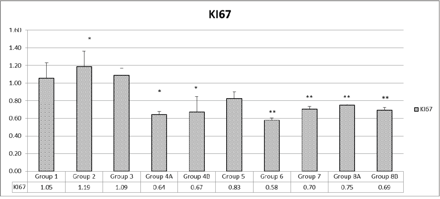 Assessment of proliferation via KI67.