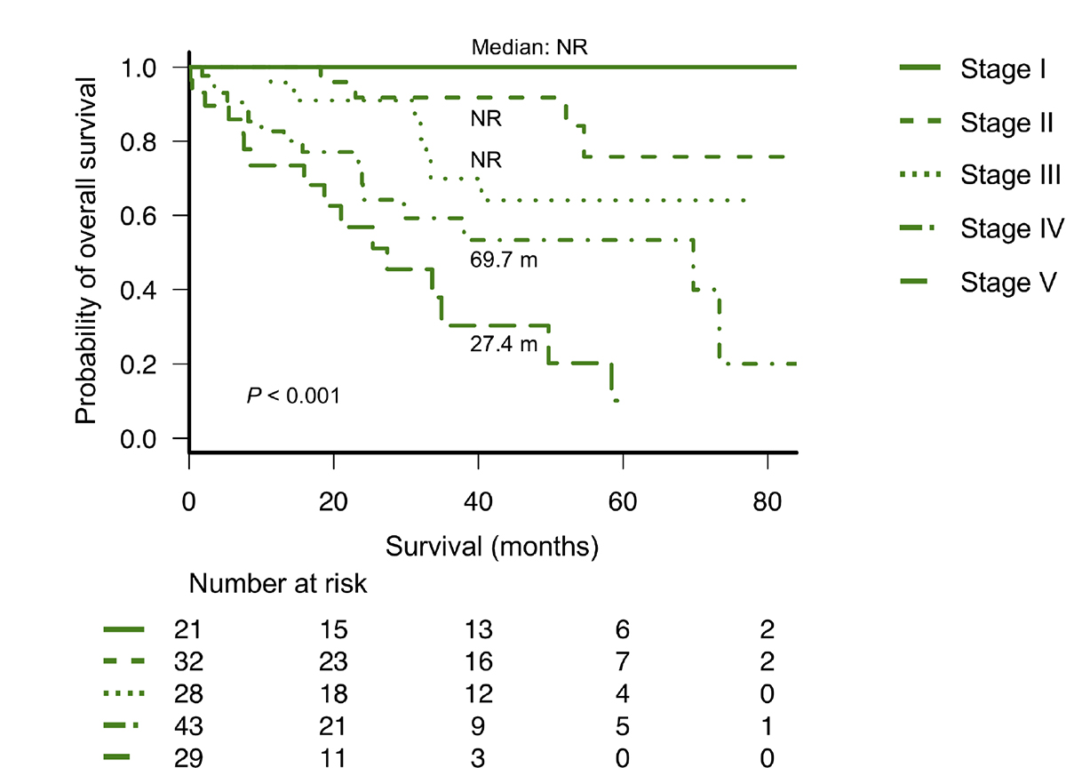 Overall survival according to the modified new frailty system based on age &#x2265;70 years, ECOG-PS &#x2265;2, IADL &#x2264;4, and NT-proBNP &#x2265;300 ng/L (different stages based on a score of 0 to 4 points).