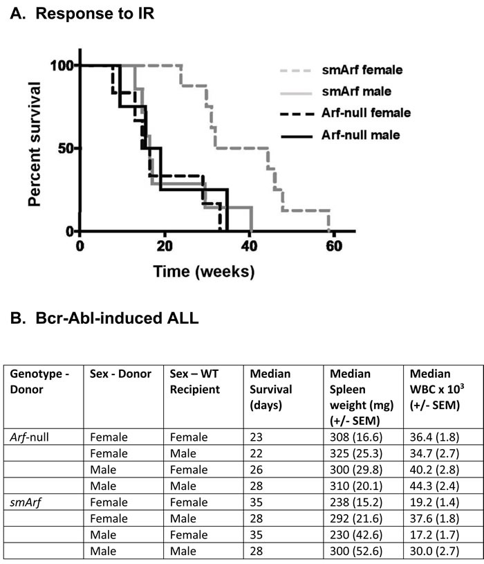 Differential responses of females and males to oncogenic challenge.