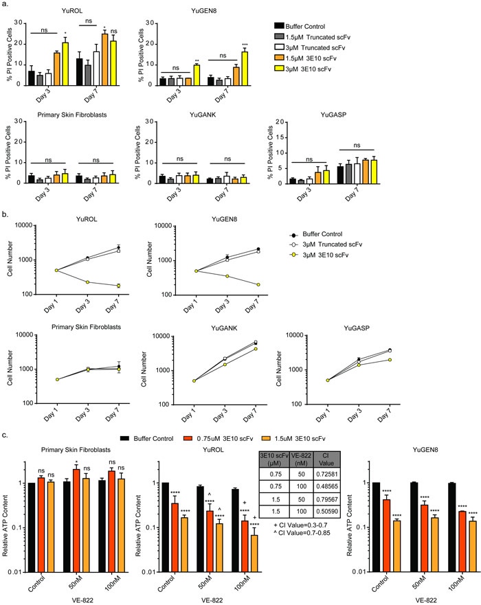 3E10 induces cell death and delays proliferation in PTEN deficient melanoma cells, and these effects confer synergism with an ATR inhibitor.