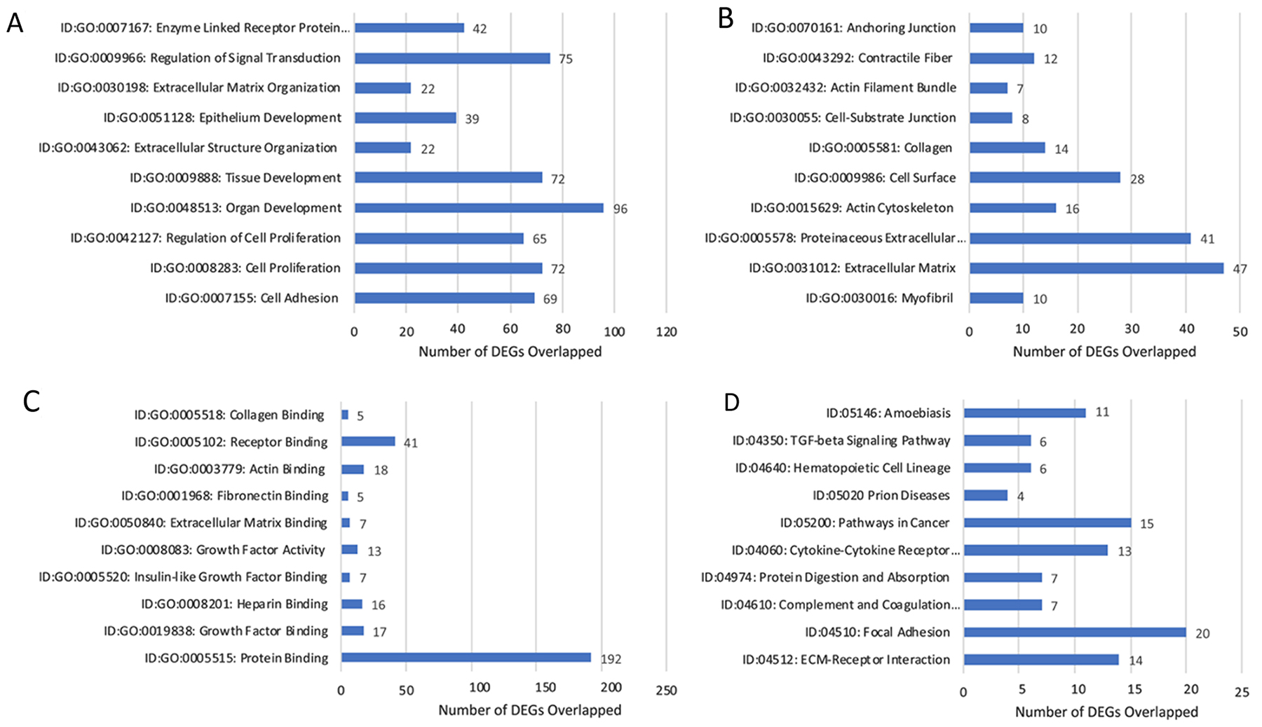 Gene annotation (GO) enrichment analysis for top 10 probe sets, for SP3 vs. NSP2, in-vivo 12 weeks.