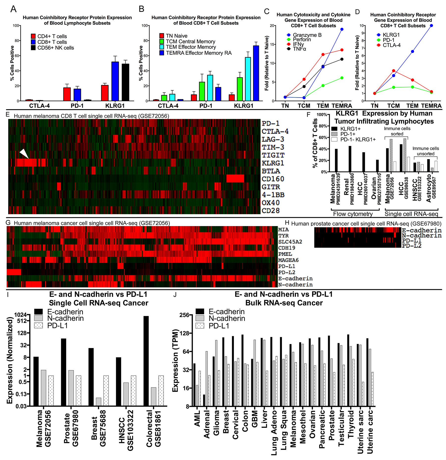 Expression of KLRG1 and its ligands in healthy blood and patient tumor samples.