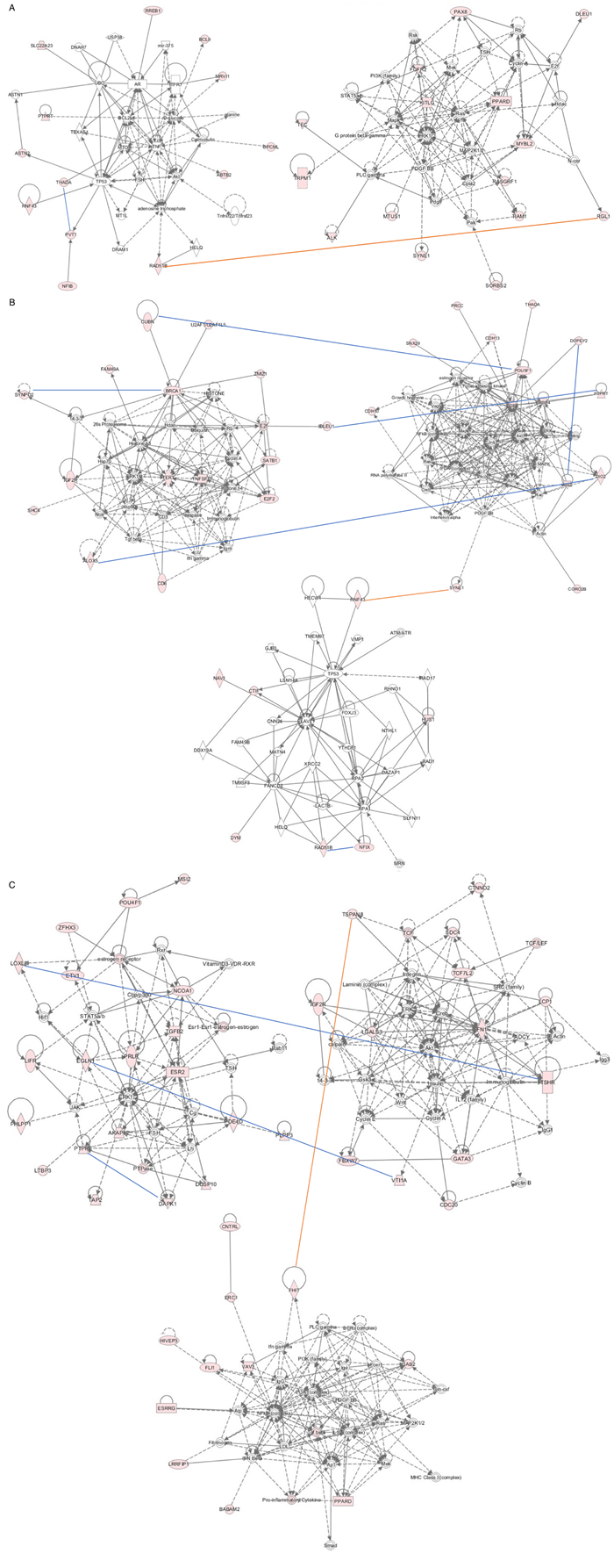 Gene network analysis using IPA program.