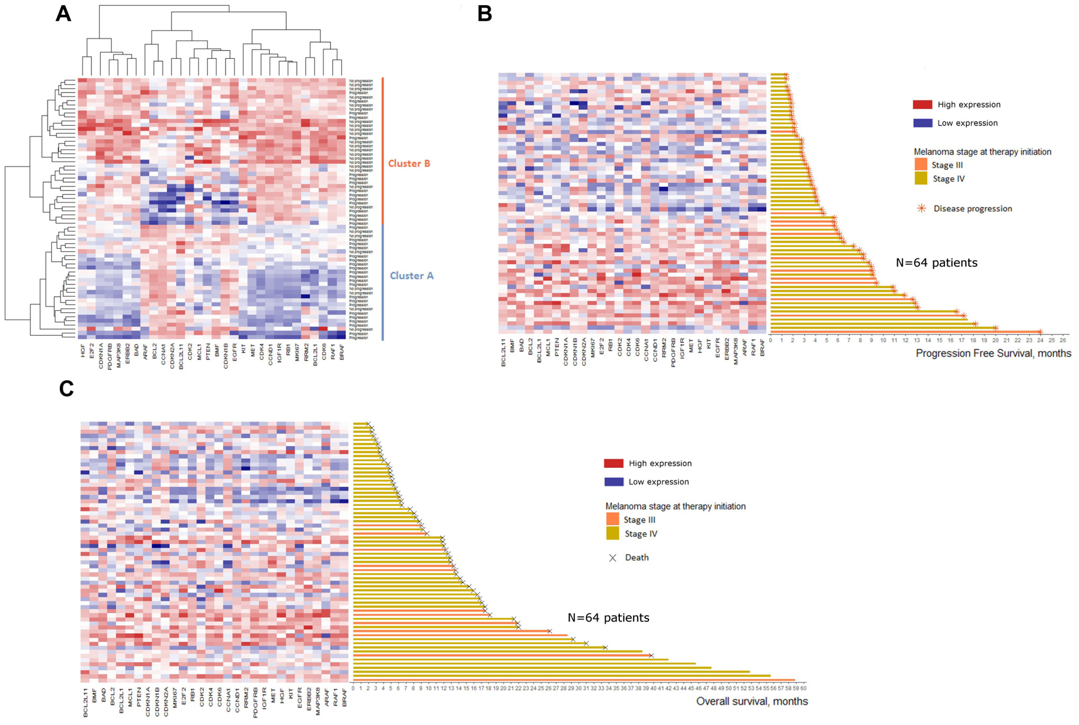 Heatmaps of baseline mRNA expression for the 64 patients included.