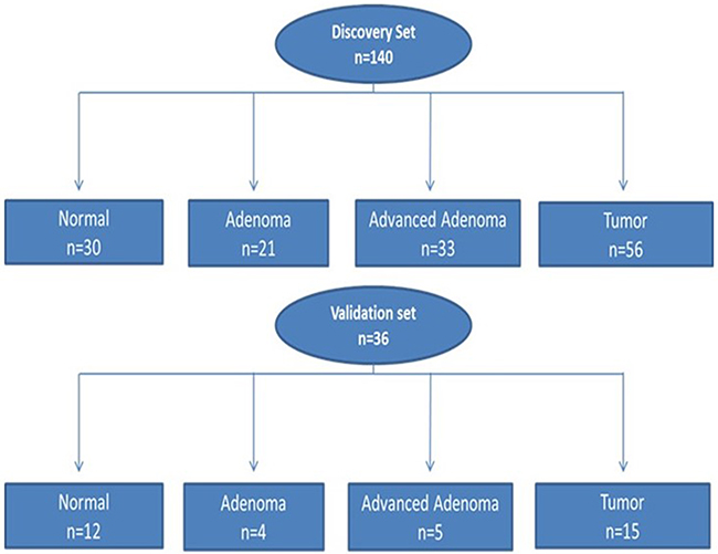 Flow chart of patient selection for both discovery and validation sets for somatic variants analysis.
