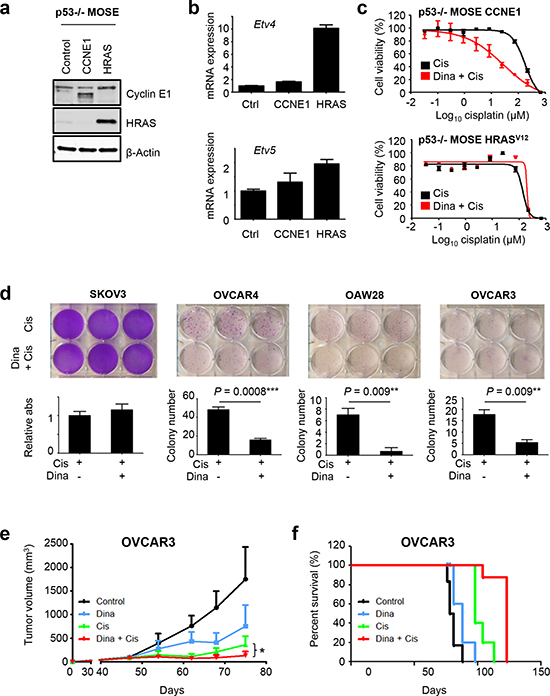 Dinaciclib sensitizes cyclin E1-driven ovarian cancers to cisplatin.