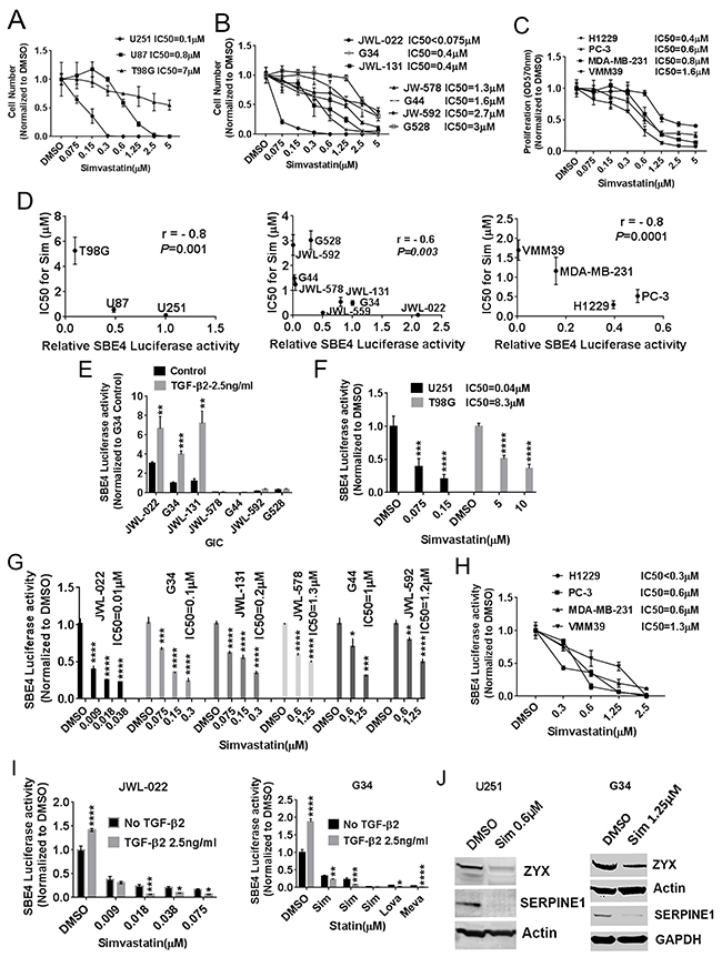 Statins impair the viability of GBM and other cancer cells largely through TGF-&beta; inhibition.