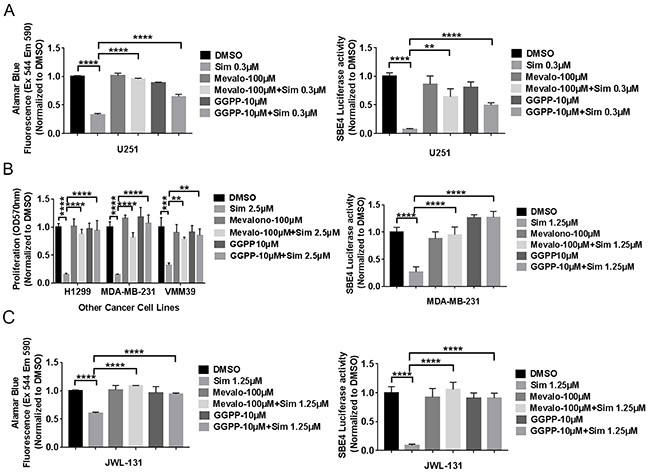 Selected exogenous products of HMG CoA-reductase rescued simvastatin-induced cell toxicity and TGF-&beta; reporter activity in five cell lines of diverse cancer types.