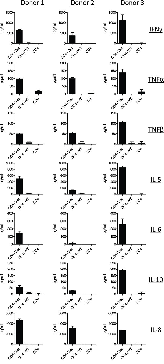 Vaccine-activated CD4+ T cells secrete various Th1 and Th2 type cytokines.