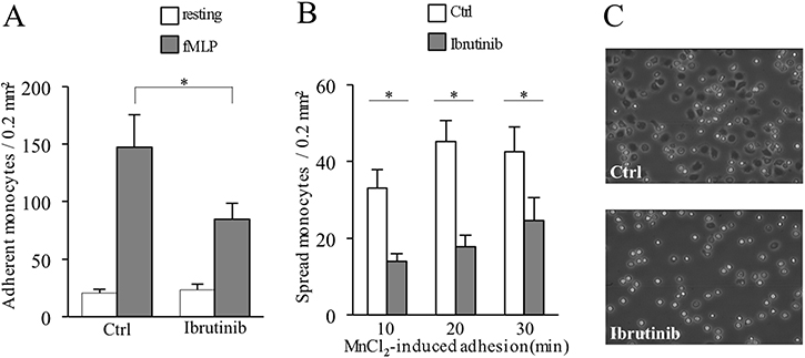 Ibrutinib-induced inhibition of inside-out and outside-in signaling of LFA-1 in monocytes.