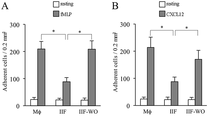 Ibrutinib-induced adhesion impairment in differentiated cells.