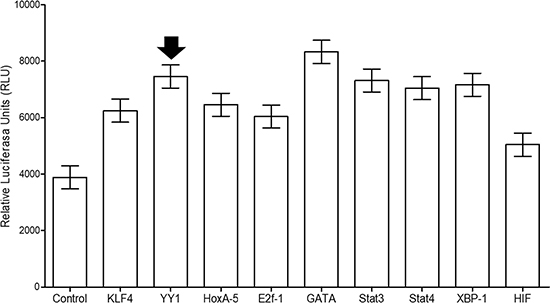 Figure 1: Bioinformatics analysis of the sequence of the promoter region of the KLF4 gene.