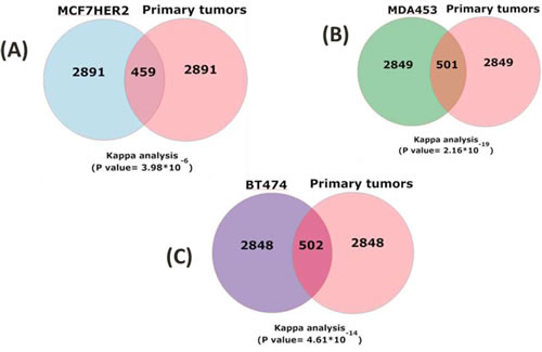 Concordant HER2-correlated changes in gene expression in cell lines and primary breast cancer tissue.