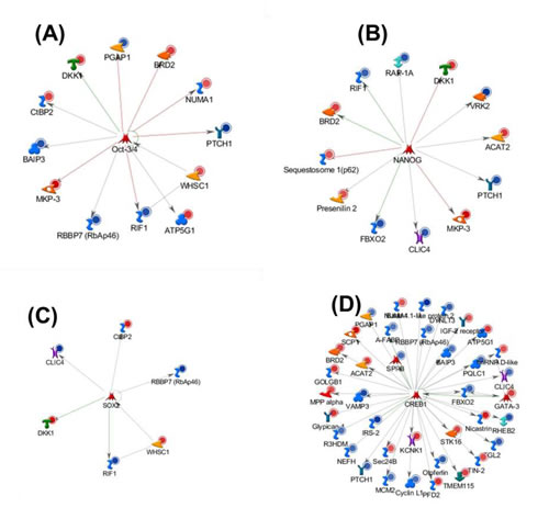 Figure 3: