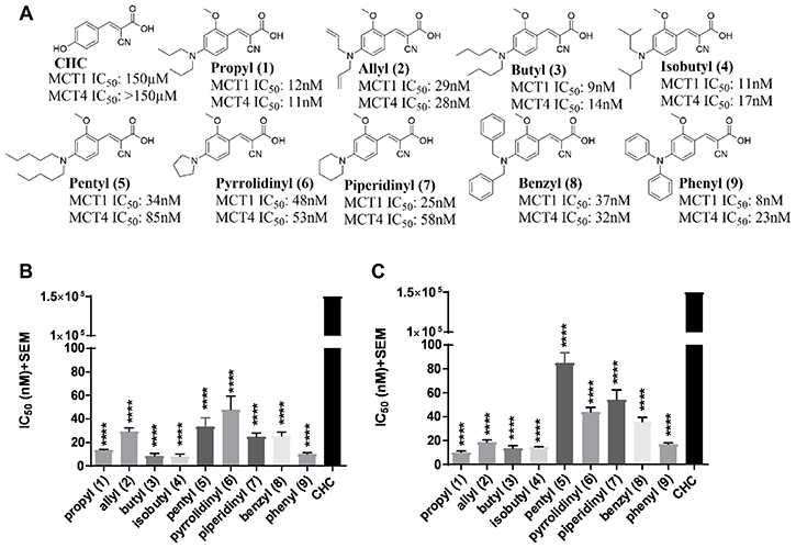 Figure 6: In vivo xenograft studies in WiDr and MDA-MB-231 tumor models.