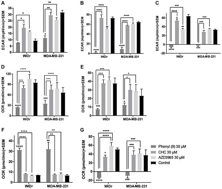 Glycolysis and mitochondrial stress tests of compound 9, CHC, and AZD3965.