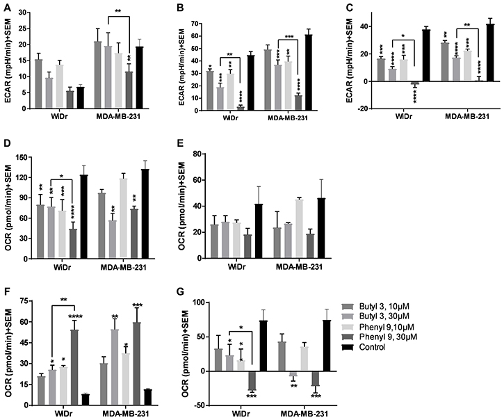 Glycolysis and mitochondrial stress tests of compounds 3 and 9.