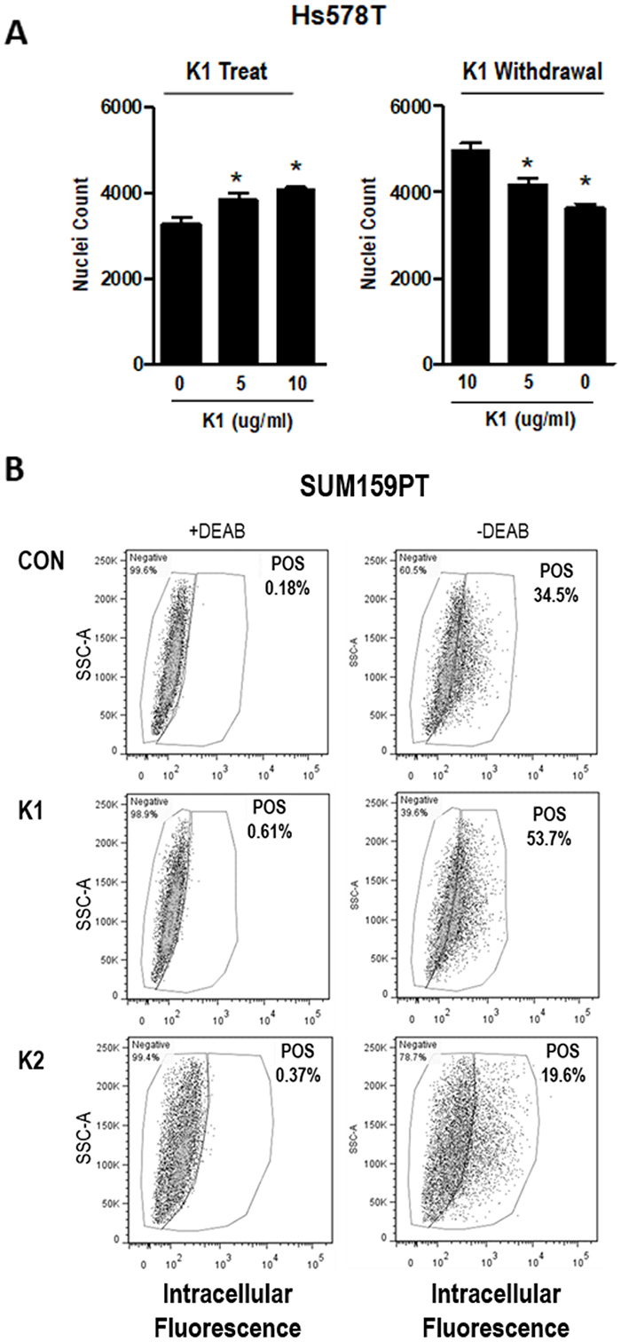 Effect of K vitamins on TNBC cell density and ALDH+ population.