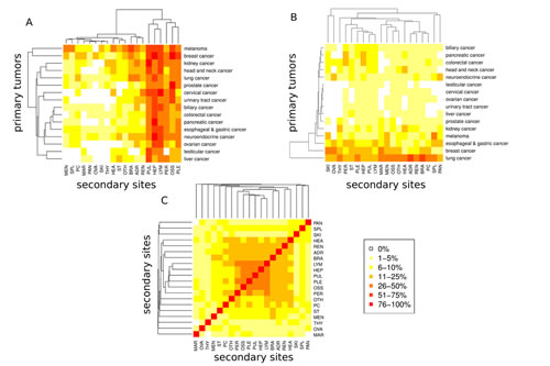 Metastatic progression from 16 primary sites to 20 secondary sites.