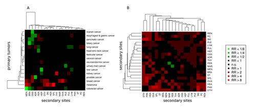 Relative risk (RR) analysis of 16 primary and 20 secondary sites.