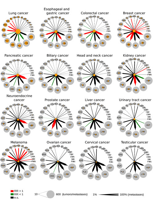 Metastatic progression from 16 primary sites to 20 secondary sites.