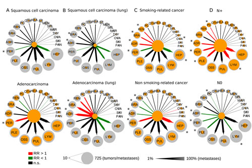 Comparison of the metastatic progression in selected tumor subgroups: