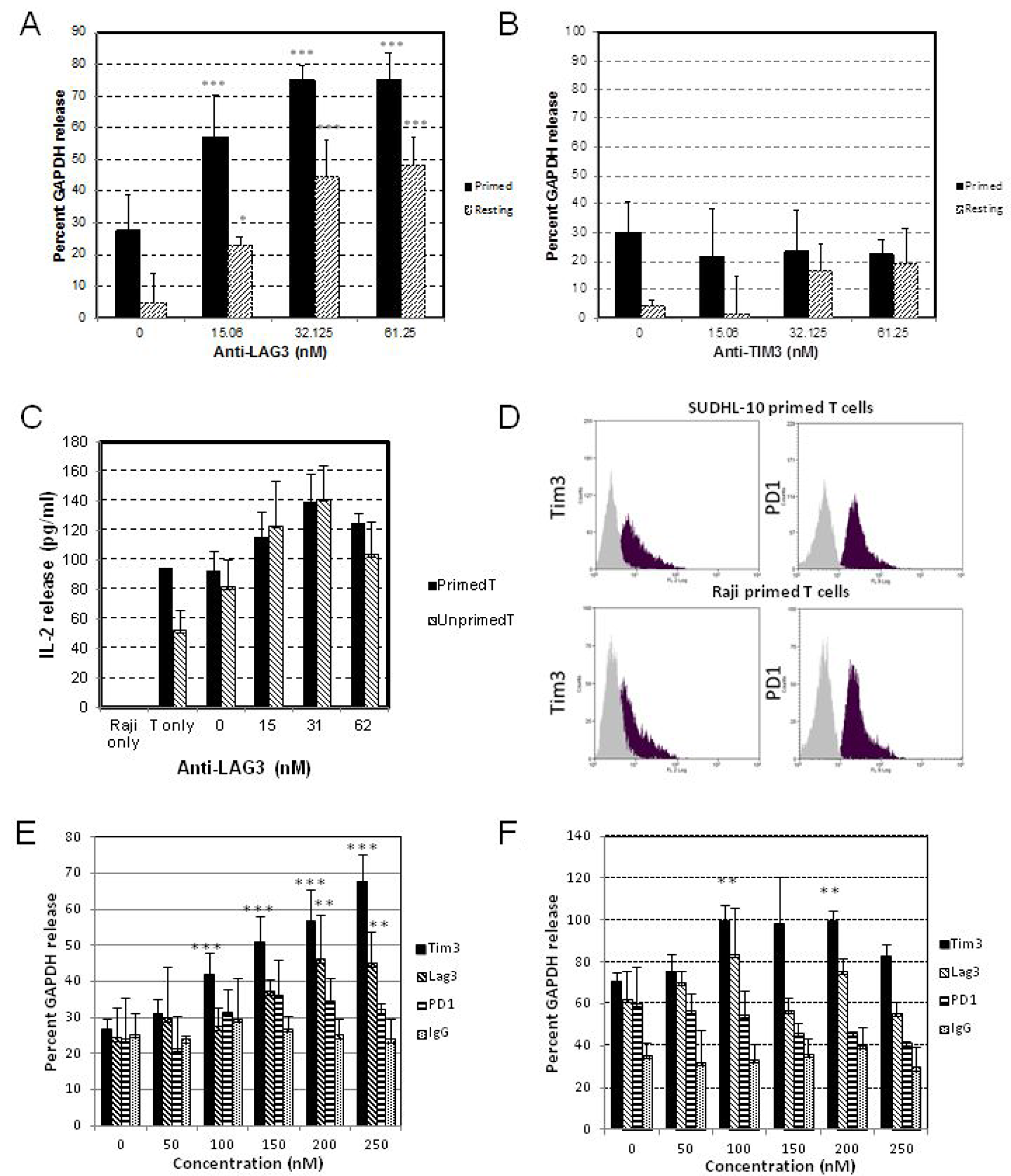 Co-culture of DLBCL and primed T cells.